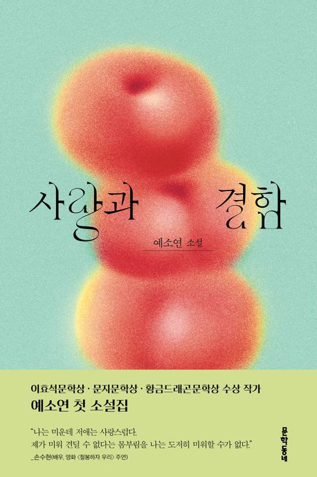 사랑과 결함 이미지
